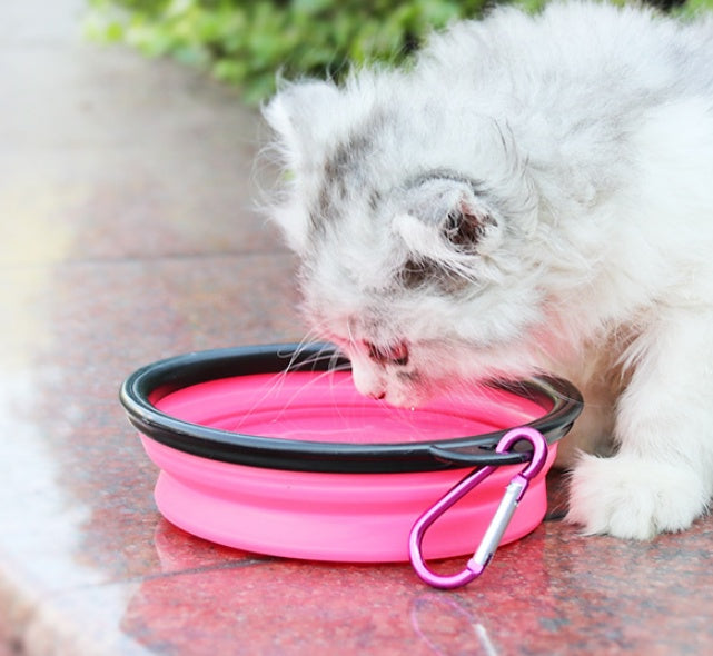 Portable 2-in-1 Pet Water Bottle Dispenser with Silicone Bowl