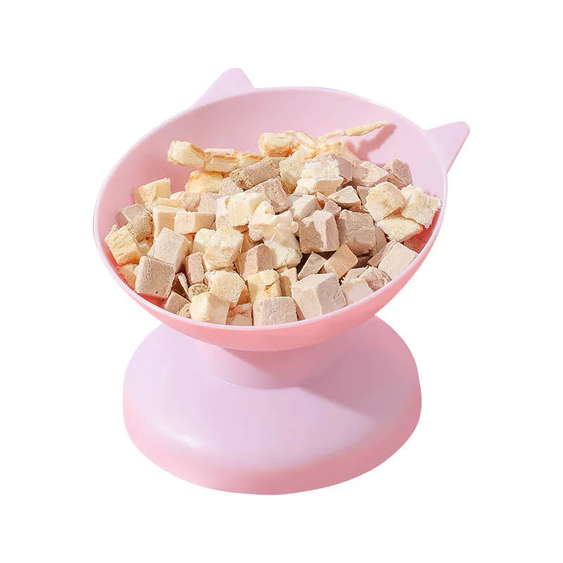 Anti-Choking Tilted Pet Food Bowl for Dogs