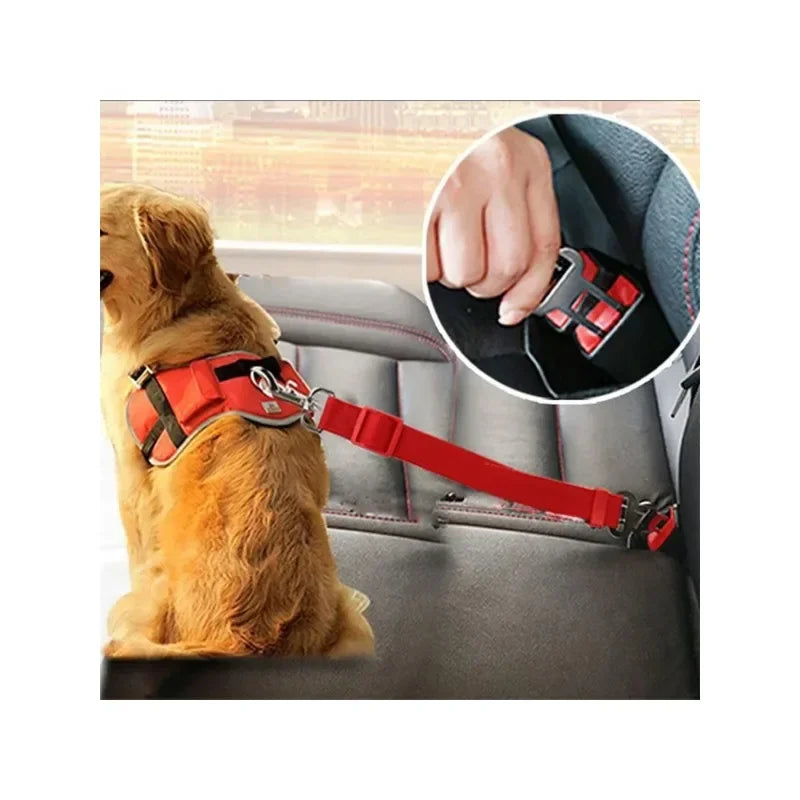 Adjustable car safety leash for dogs, ensuring secure travel.