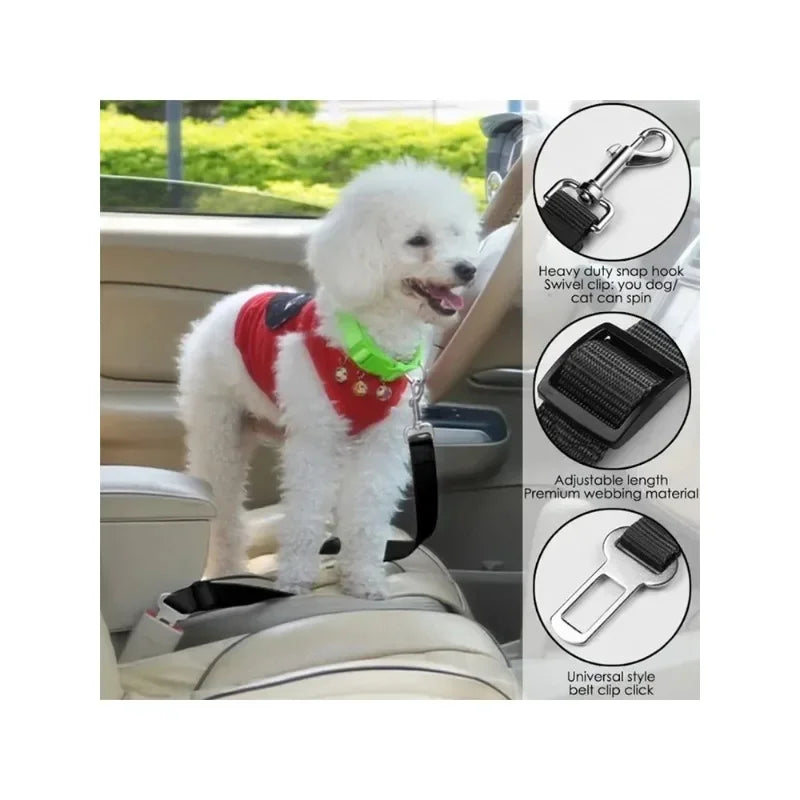 Adjustable car safety leash for dogs, ensuring secure travel.