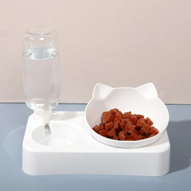 15° Tilt Pet Bowl – Ergonomic Design for Healthy Eating