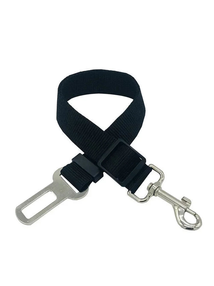 Adjustable car safety leash for dogs, ensuring secure travel.