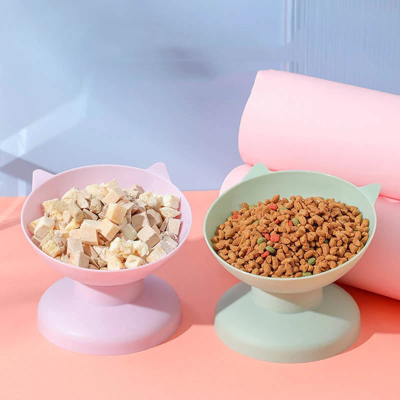 Anti-Choking Tilted Pet Food Bowl for Dogs