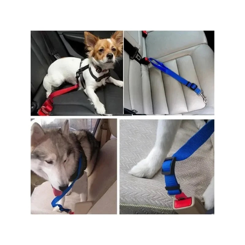 Adjustable car safety leash for dogs, ensuring secure travel.