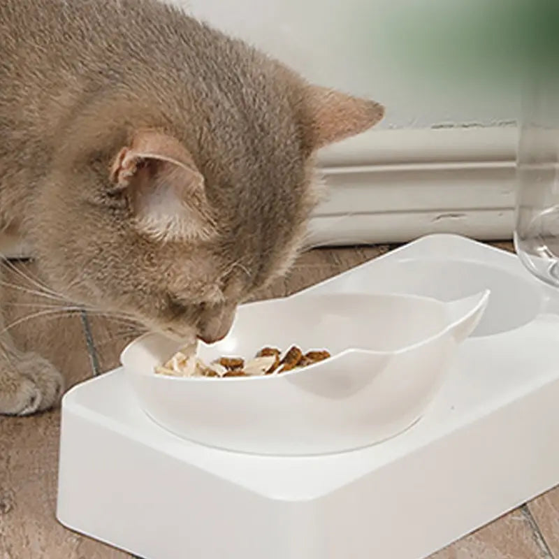 15° Tilt Pet Bowl – Ergonomic Design for Healthy Eating