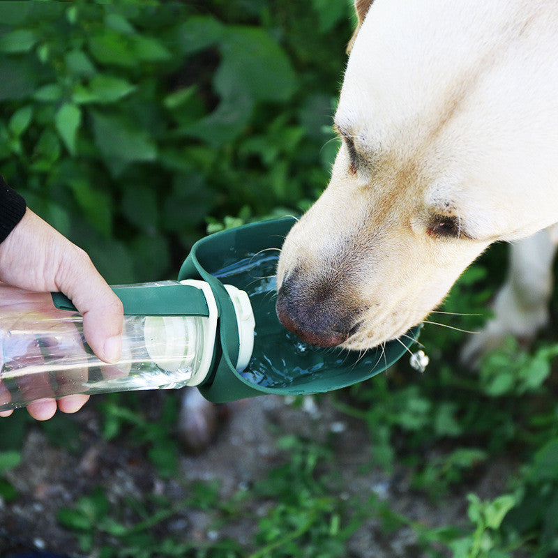 2-in-1 Multifunction Pet Water Bottle & Foldable Food Bowl